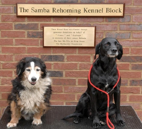 These Kennel Runs were funded through generous donations on behalf of "Franci" and "Kayleigh" in memory of their owner Belinda, The late Ms Ella de Gray Jones; The Rothschild Foundation.