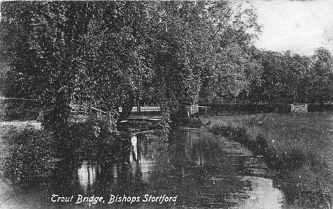 bs-river-trout-bridge-valentine