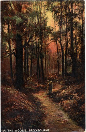 In the Woods, Broxbourne, Herts