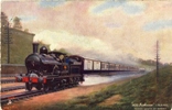 bushey-railway-wild-irishman