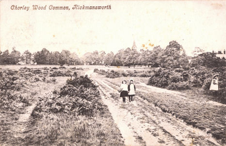 Chorley Wood Common, Chorleywood, Hertfordshire