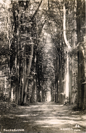 Finch's Avenue, Croxley Green, by Albert Arthur Darrah of Rickmansworth