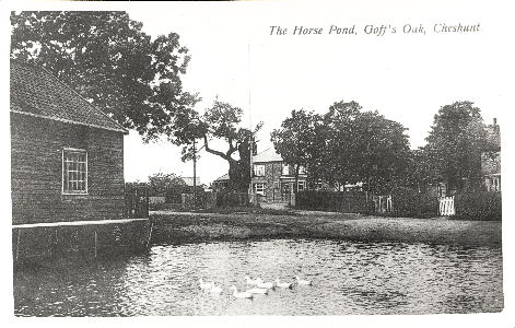goffs-oak-horse-pond