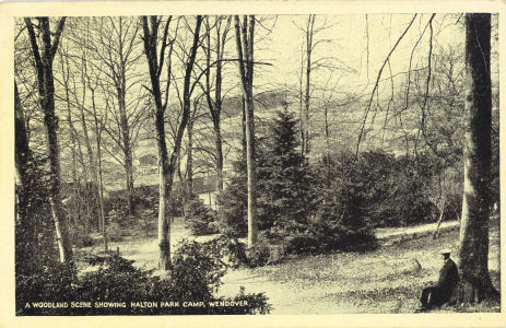 Post card showing Wendover Woods and Halton Military Camp