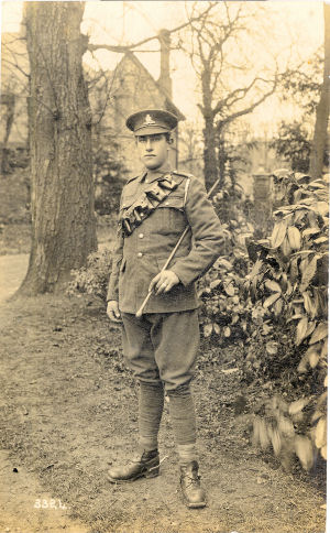 Click  for larger image - Second Lieutenant, Royal Field Artillery, World War 1, Hemel Hempstead, photographed by John George Lawrence