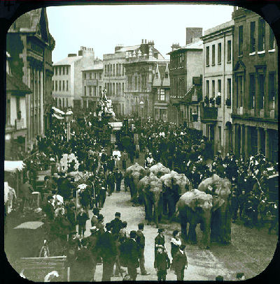 Elephants, Fore Street, Hertford, photograph by Elsden