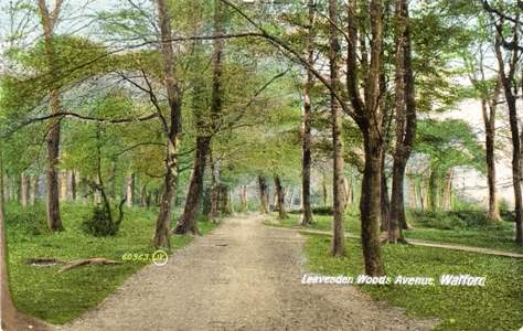leavesden-woods-ave-jv-60963-colour