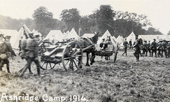 Territorial Force, Army Camp, Ashridge Park, Herts, 1914, ww1