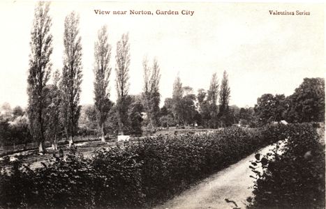 norton-view-poplars-valentine-2