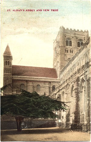 Title: St Alban's Abbet & Yew Tree - Publisher: No info - Date: circa 1903 (Inland message only)
