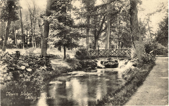 Bridge and Waterfall, Tewin Water, Welwyn, Hertfordshire