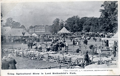 tring-ag-show-newman-1905