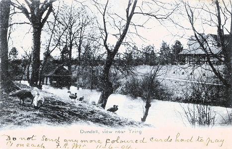 Dundale Pond, and Rothschild Hunting Lodge, Tring. Post card from 1904.
