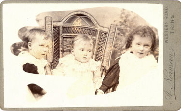 Three babies - CDV by Norman of Tring