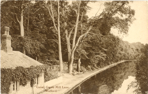 watford-grove-canal-01