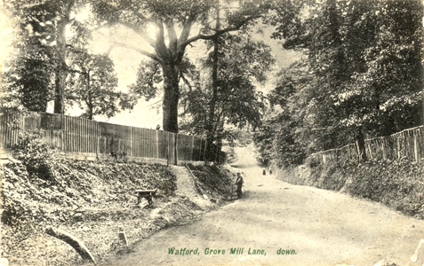 watford-grove-mill-lane-02