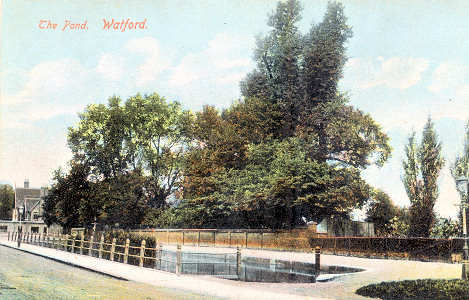 The Pond, Watford, by London View Co