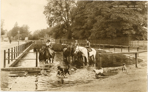 watford-top-town-pond-02