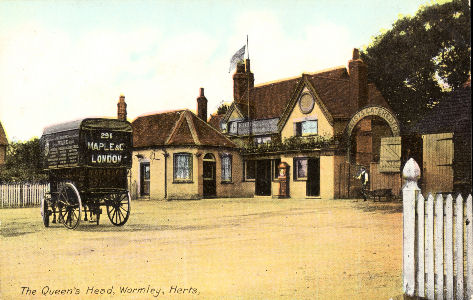 wormley-queens-head-tudor-rose