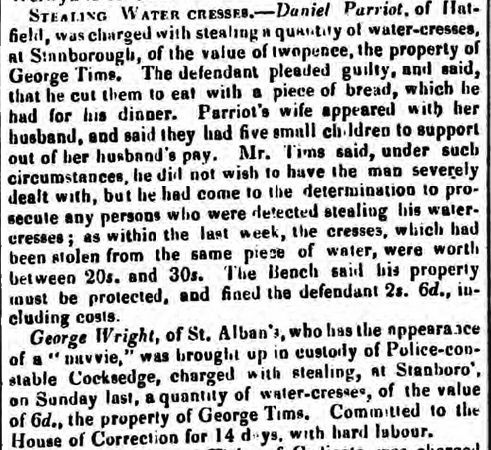 Watercress, Lemsford, Stanborough, Hatfield, St AlLbans, Hertfordshire, George Tims, Daniel Pattiot George Wright, PC Cocksedge, House of Correction